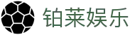 铂莱娱乐 - 官方直营保障资金稳健与游戏公平的竞技系统